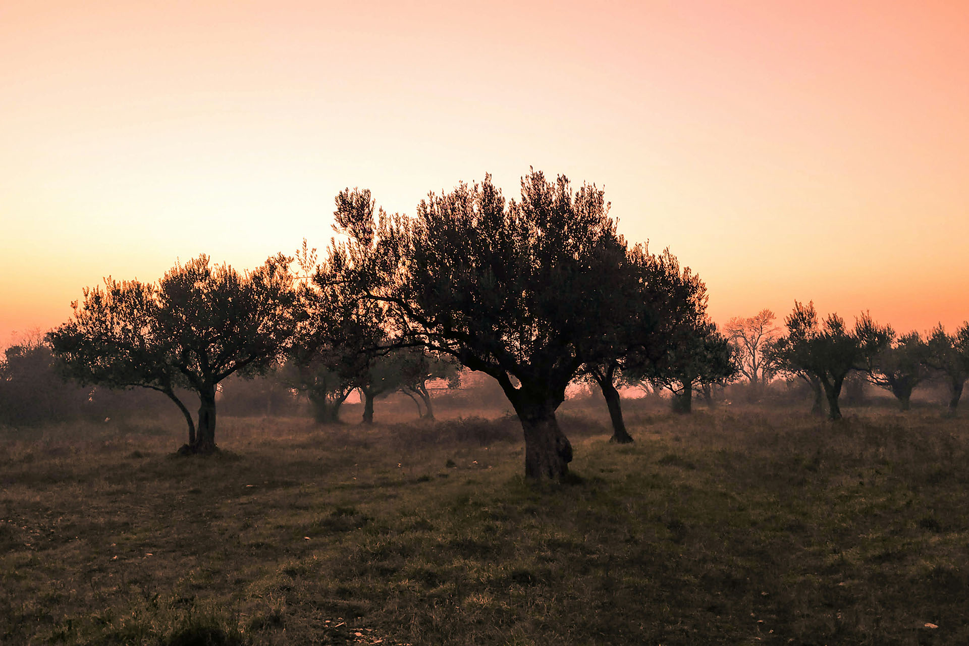 Διαμονή στην Κέρκυρα